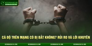 Cá Độ Trên Mạng Có Bị Bắt Không