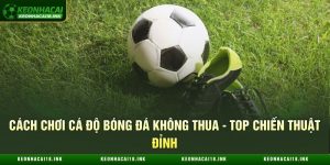 Cách Chơi Cá Độ Bóng Đá Không Thua