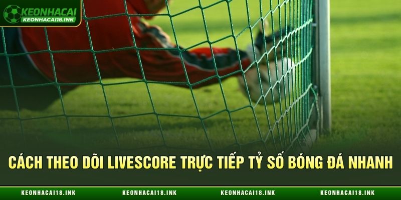 Xem trực tuyến livescore trực tiếp tỷ số bóng đá nhanh