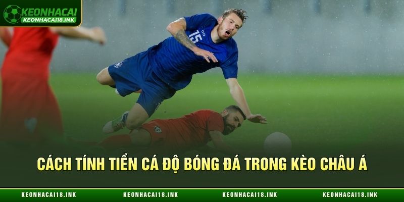 Công thức tính tiền cá độ bóng đá chuẩn trong kèo Handicap Công thức tính tiền cá độ bóng đá chuẩn trong kèo Handicap