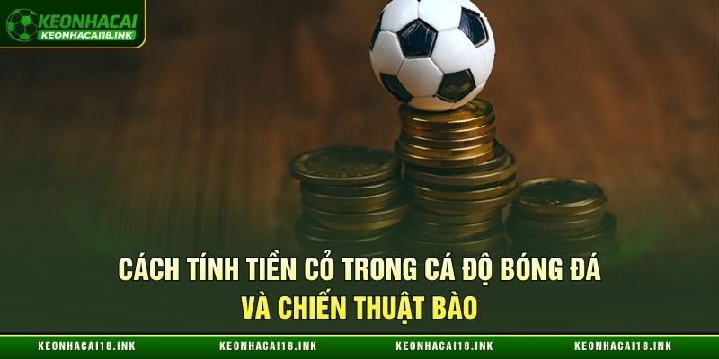 Cách tính tiền cỏ trong cá độ bóng đá và chiến thuật bào Cách tính tiền cỏ trong cá độ bóng đá và chiến thuật bào