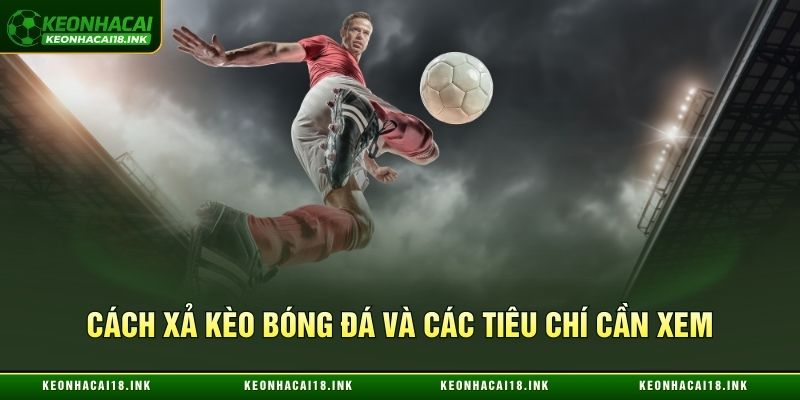 Cách xả kèo bóng đá và các tiêu chí cần xem