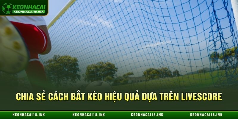 Cách bắt kèo hiệu quả dựa trên Livescore từ cao thủ