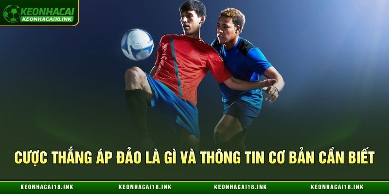 Cược thắng áp đảo là gì và thông tin cơ bản cần biết Cược thắng áp đảo là gì và thông tin cơ bản cần biết
