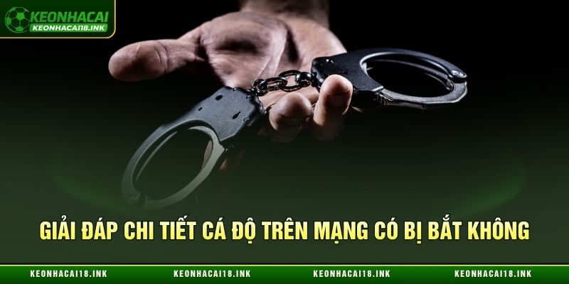 Giải đáp chi tiết cá độ trên mạng có bị bắt không Giải đáp chi tiết cá độ trên mạng có bị bắt không