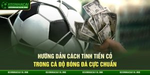 Cách Tính Tiền Cỏ Trong Cá Độ Bóng Đá