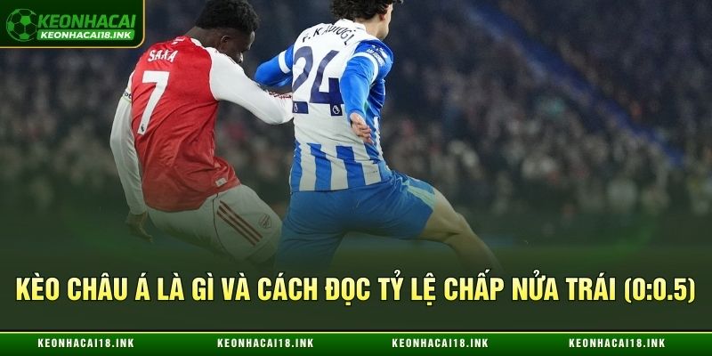 Kèo châu Á là gì và cách đọc tỷ lệ chấp nửa trái (0:0.5) Kèo châu Á là gì và cách đọc tỷ lệ chấp nửa trái (0:0.5)