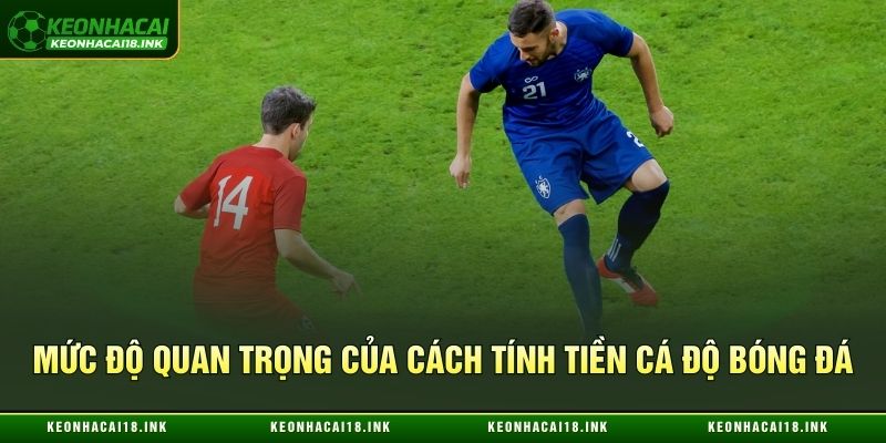 Mức độ quan trọng của cách tính tiền cá độ bóng đá Mức độ quan trọng của cách tính tiền cá độ bóng đá