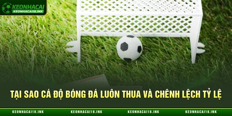 Lý do cá độ bóng đá luôn thua và chênh lệch tỷ lệ