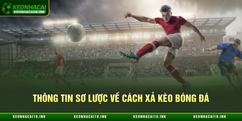 Thông tin sơ lược về cách xả kèo bóng đá